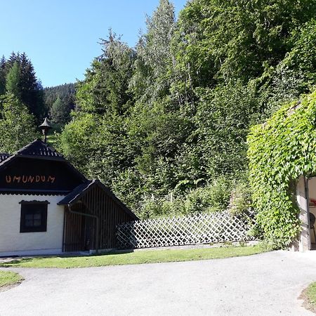 Umundumhuette Villa Katsch an der Mur Exteriör bild