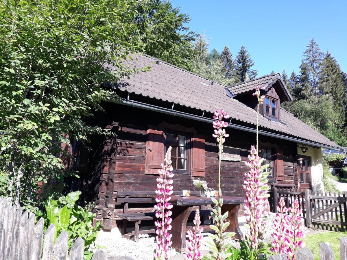Umundumhuette Villa Katsch an der Mur Exteriör bild