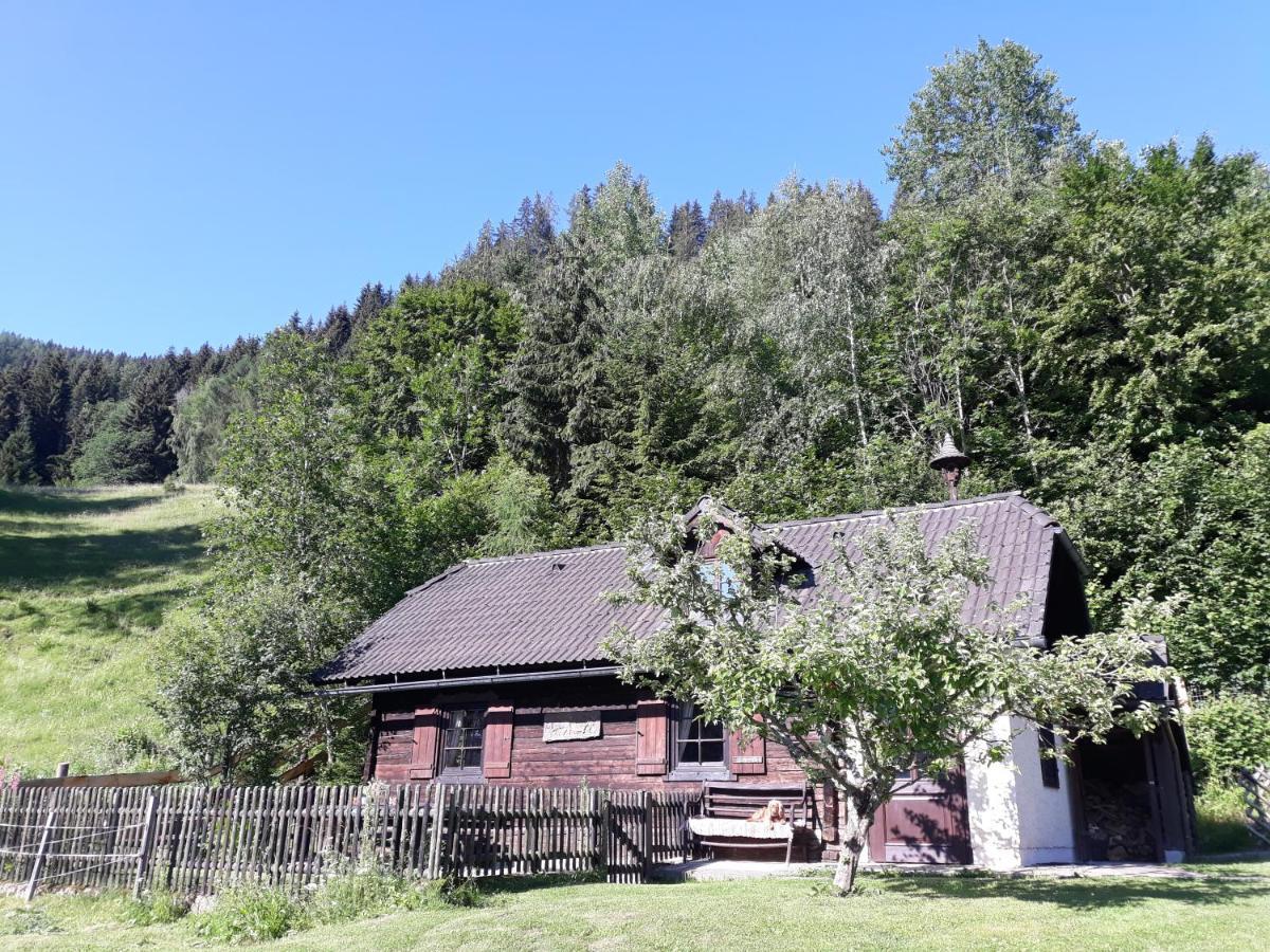 Umundumhuette Villa Katsch an der Mur Exteriör bild