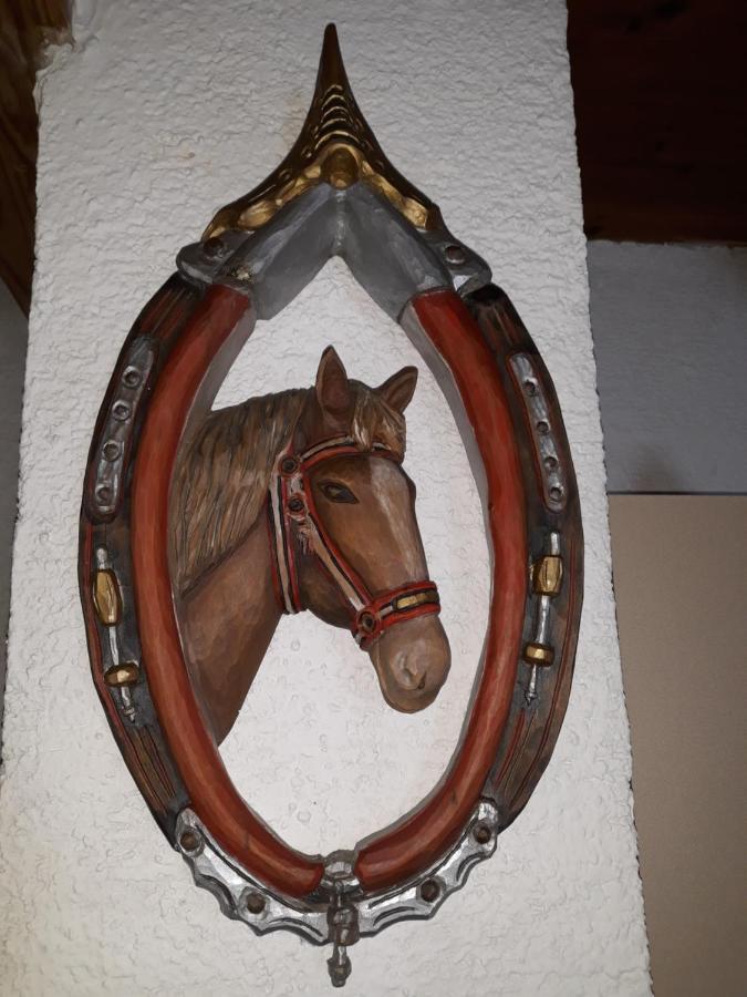Umundumhuette Villa Katsch an der Mur Exteriör bild
