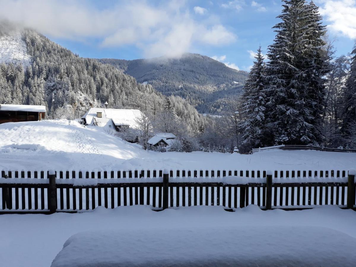 Umundumhuette Villa Katsch an der Mur Exteriör bild