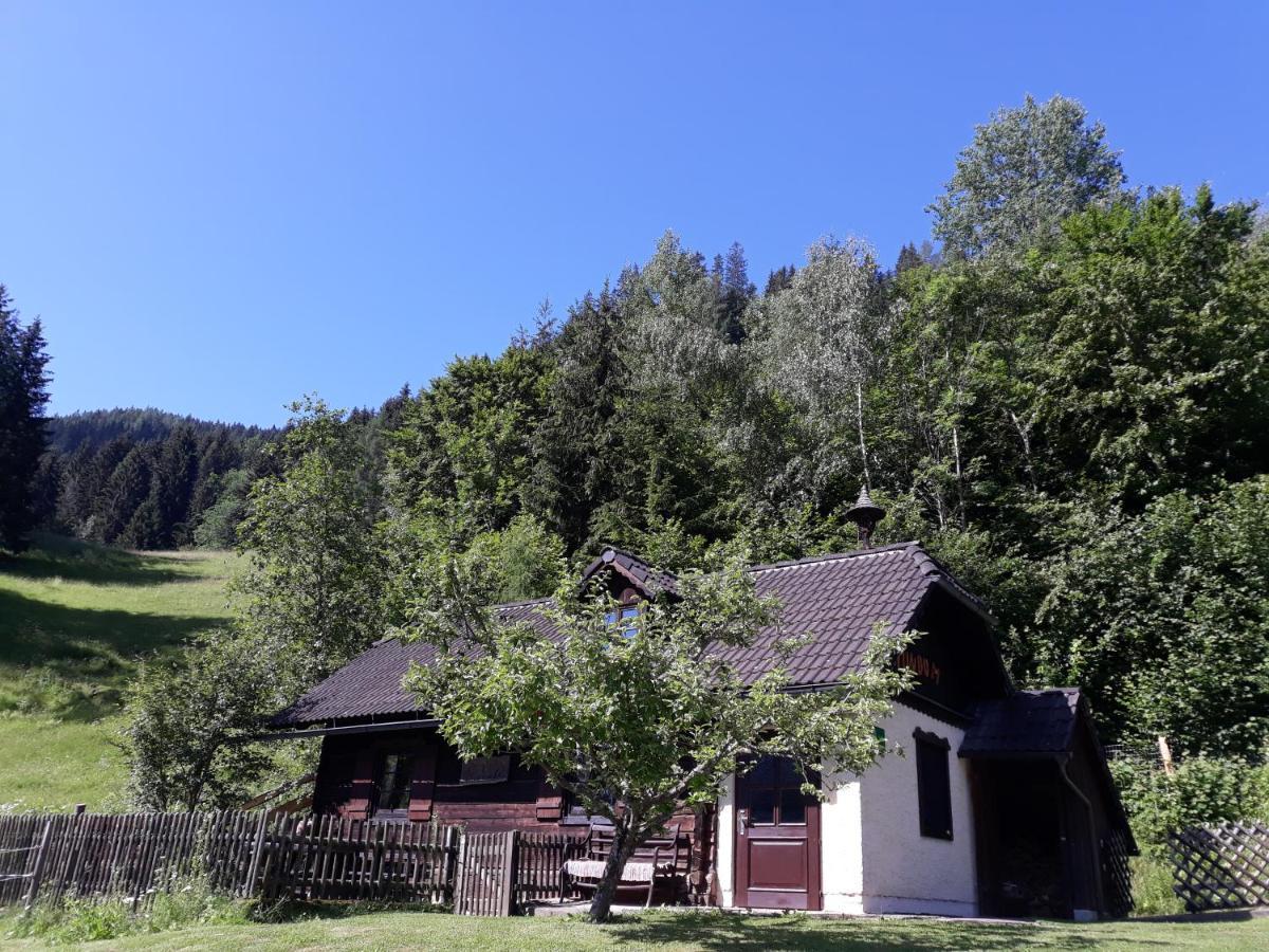 Umundumhuette Villa Katsch an der Mur Exteriör bild