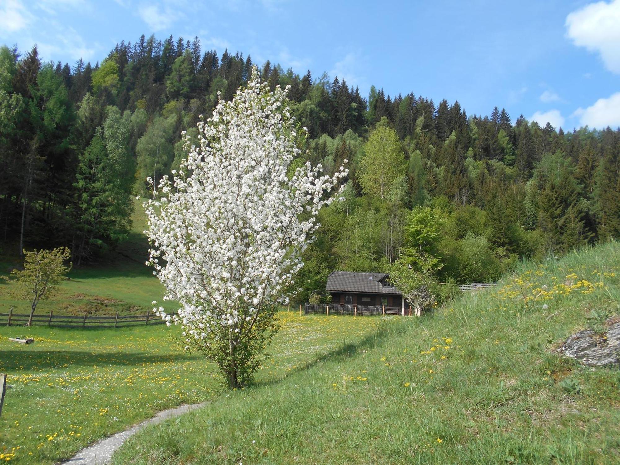 Umundumhuette Villa Katsch an der Mur Exteriör bild