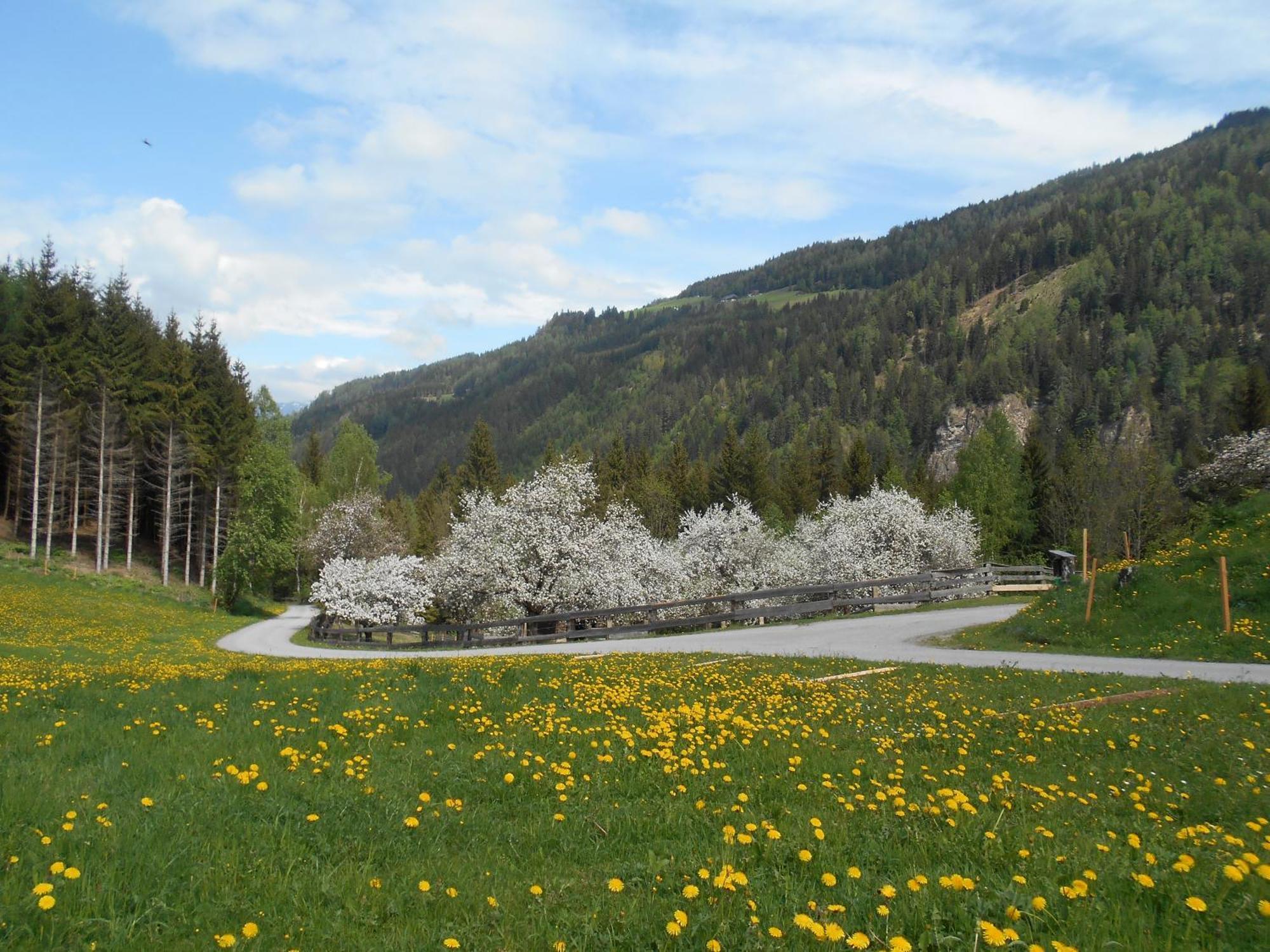 Umundumhuette Villa Katsch an der Mur Exteriör bild