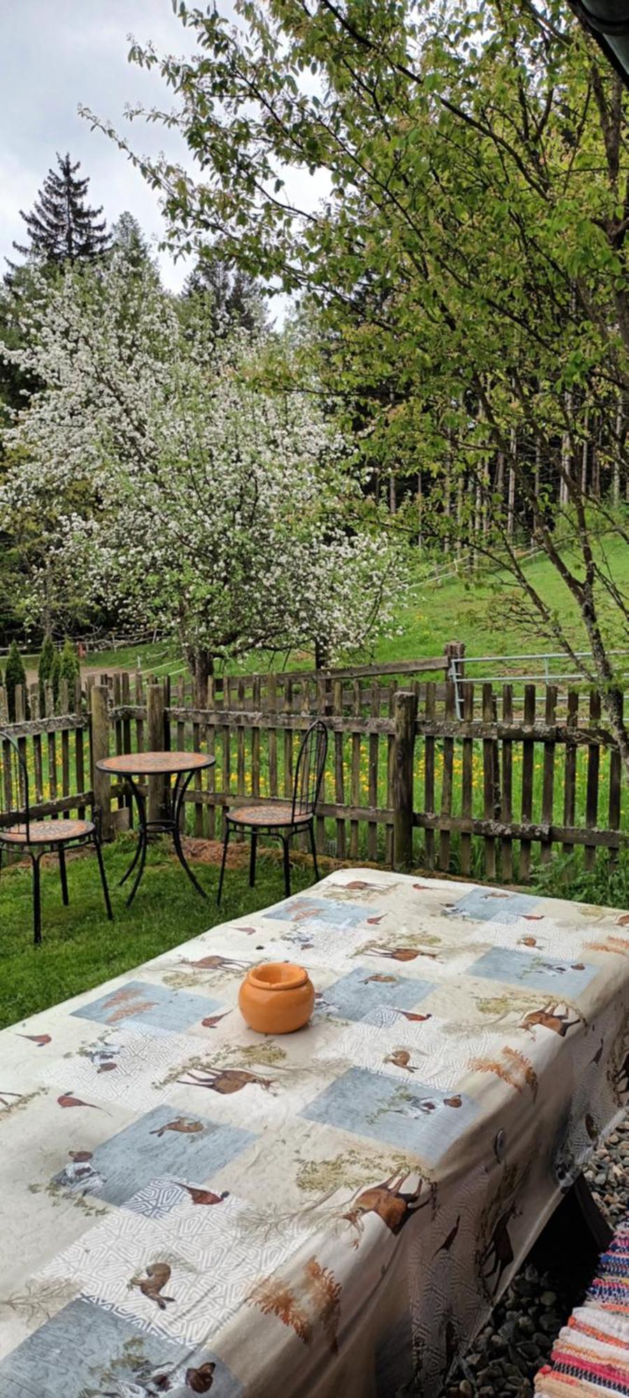 Umundumhuette Villa Katsch an der Mur Exteriör bild