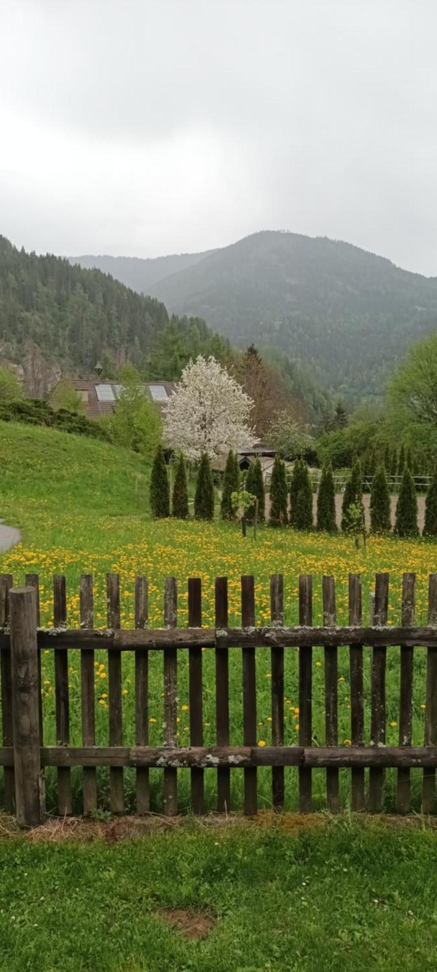 Umundumhuette Villa Katsch an der Mur Exteriör bild