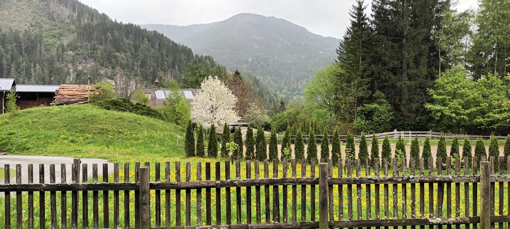 Umundumhuette Villa Katsch an der Mur Exteriör bild