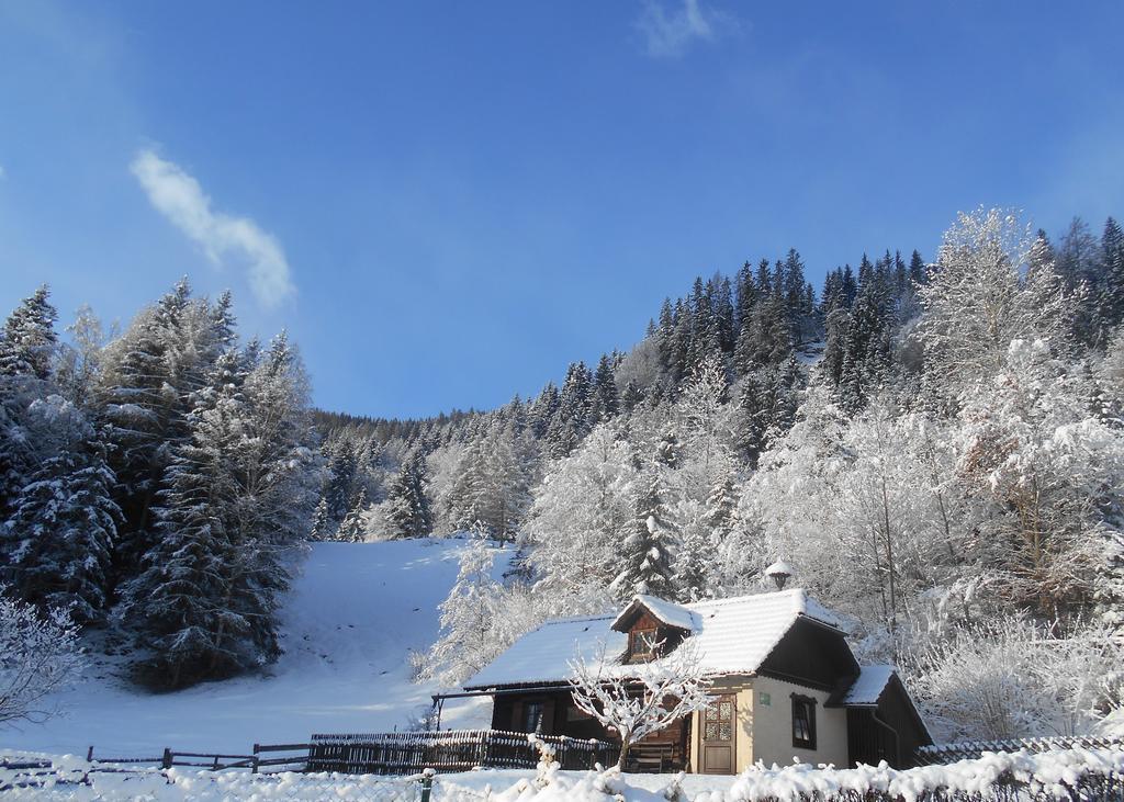 Umundumhuette Villa Katsch an der Mur Exteriör bild