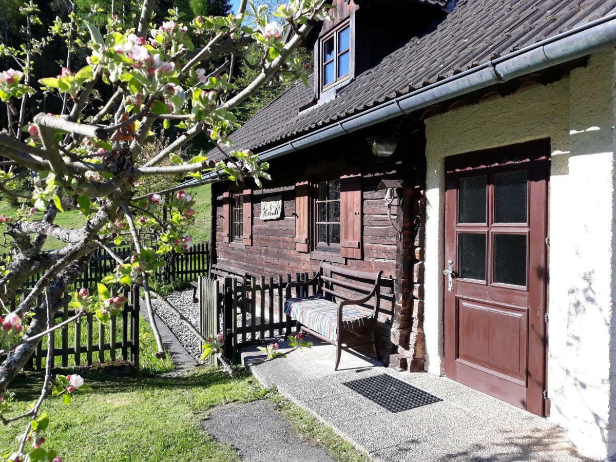 Umundumhuette Villa Katsch an der Mur Exteriör bild