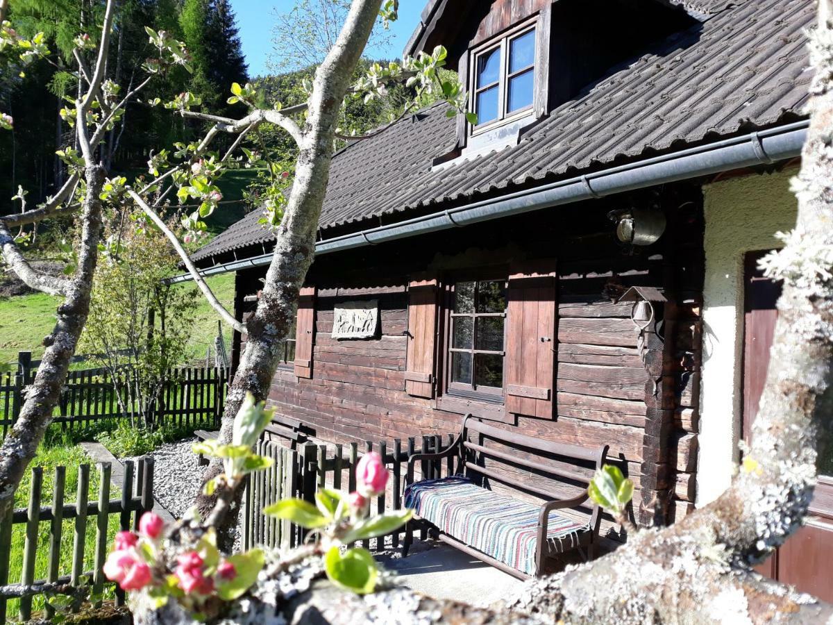 Umundumhuette Villa Katsch an der Mur Exteriör bild